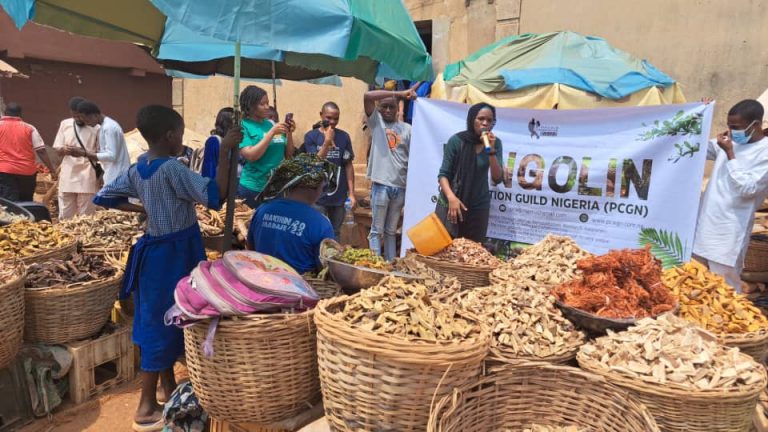 Wildlife Market Rally for Pangolin Conservation