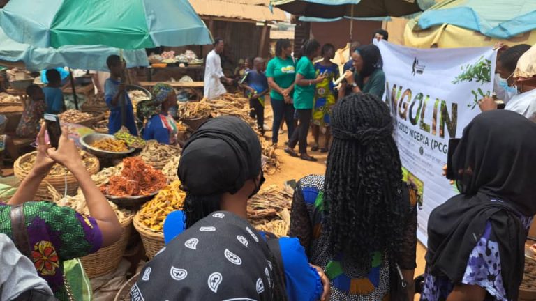 Wildlife Market Rally for Pangolin Conservation