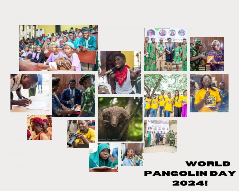 WORLD PANGOLIN DAY 2024