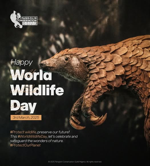 WORLD WILDLIFE DAY 2025